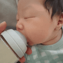 모유수유 국민육아템! 필립스 아벤트 보틀워머 중탕기 사용 후기