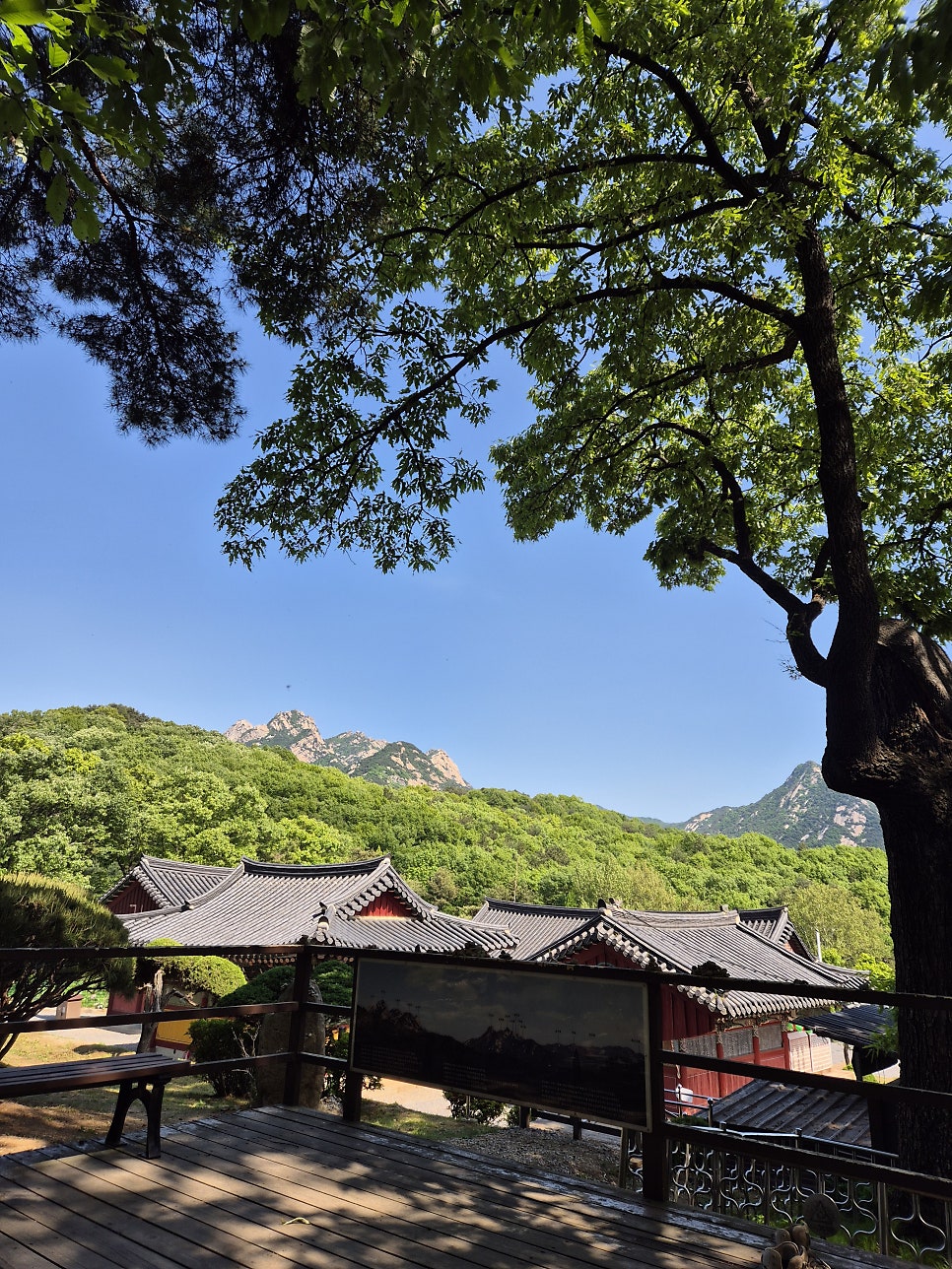 Mongkeu photo 4
