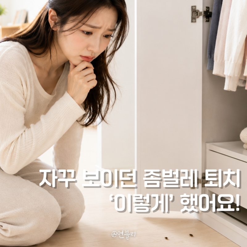 옷장 속 좀벌레 퇴치 방법 스프레이 계피 활용까지!