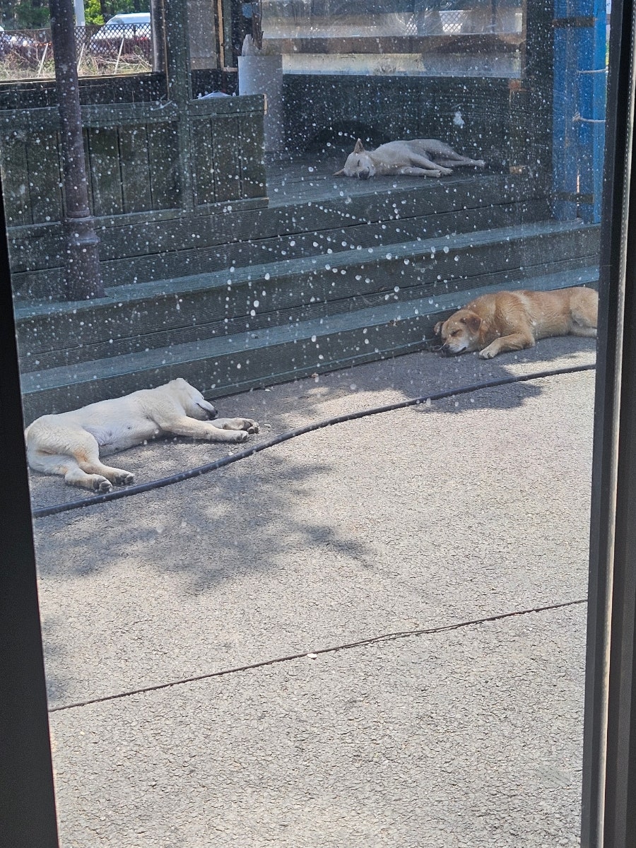 홍춘천 남사점 사진 3