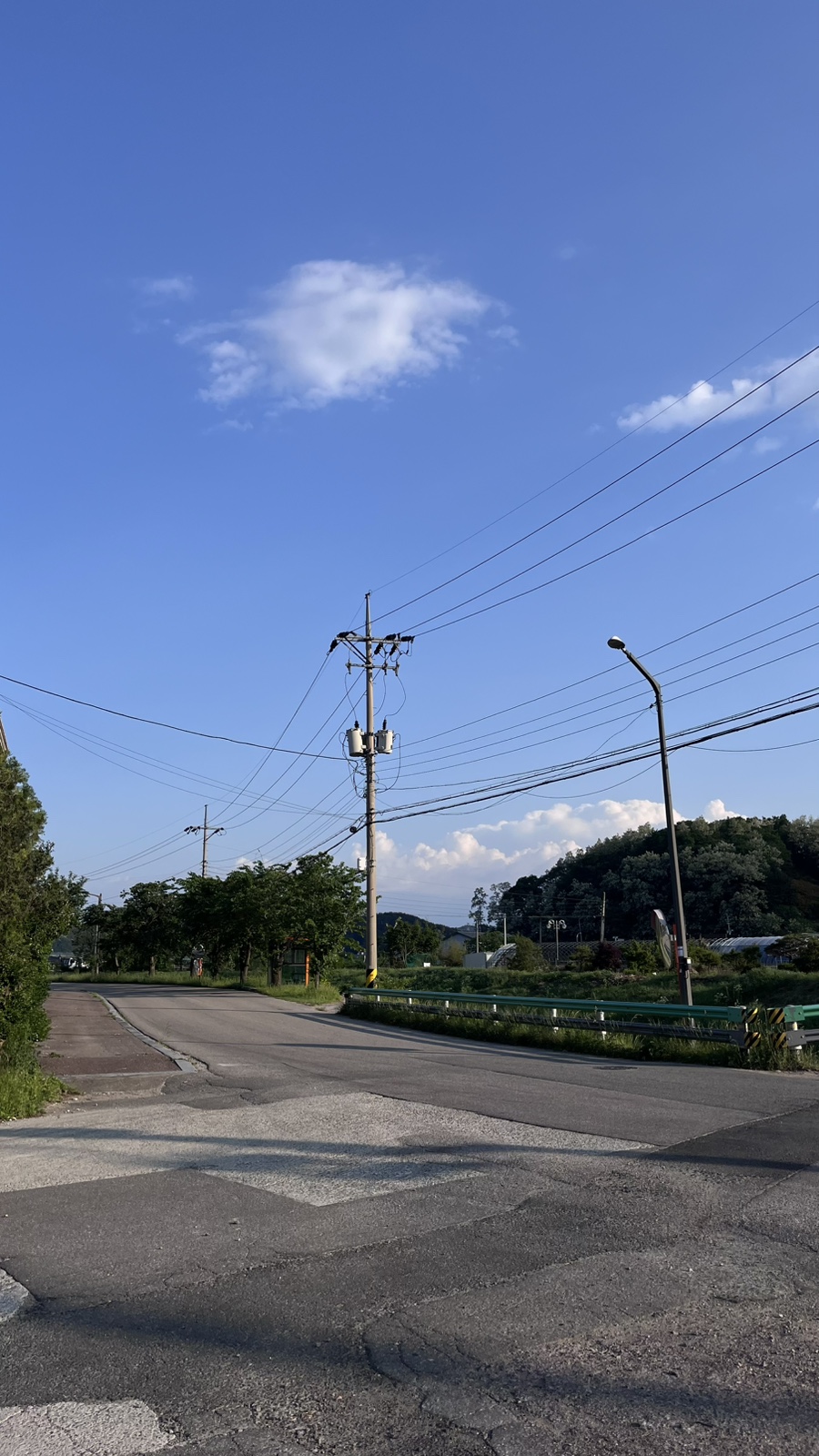 Nokwongalbi photo 1