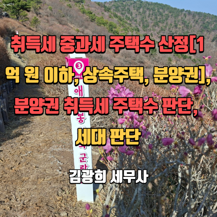  취득세 중과세 주택수 산정[1억 원 이하, 상속주택, 분양권], 분양권 취득세 주택수 판단, 세대 판단