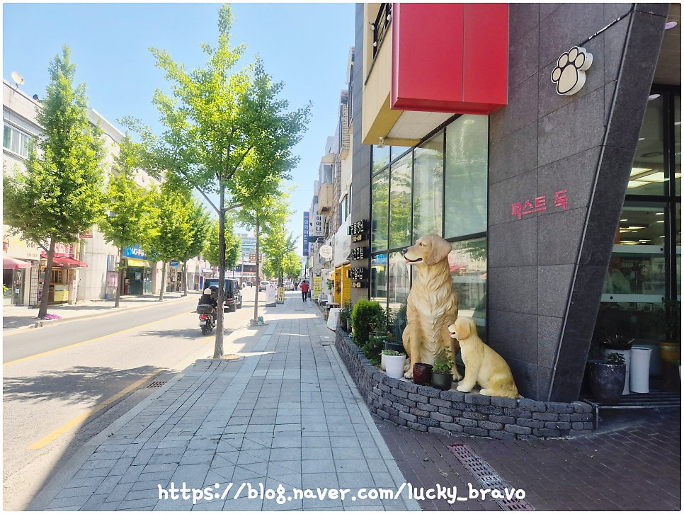 이스탄블루케밥 사진 3