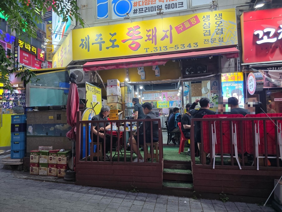 제주도똥돼지 사진 3