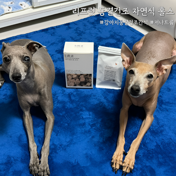  기호성 좋은 강아지 동결건조 사료, 리프릿 동결건조 자연식 홀스 급여 리뷰