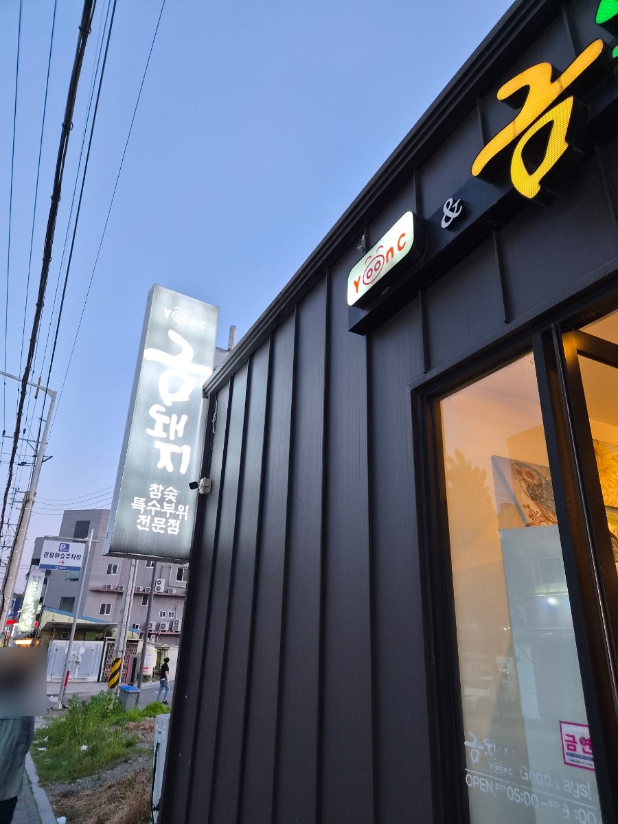 금돼지 사진 3