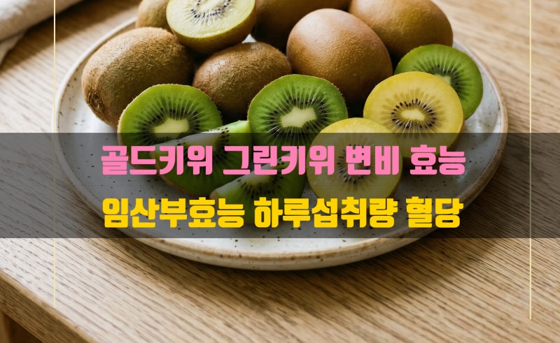 골드키위 그린키위 변비 효능 비교 칼로리 하루섭취량 임산부 당지수