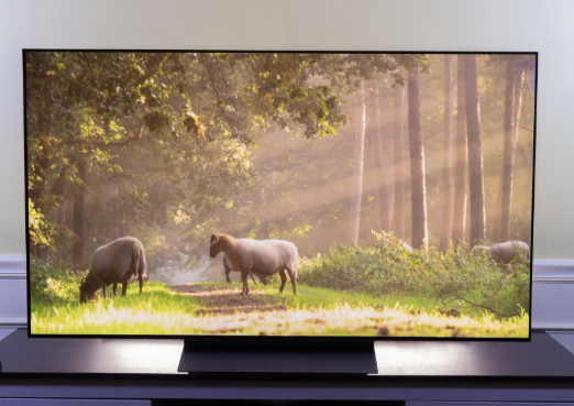 OLED TV 수명 및 고장 시 수리 방법 Tip!