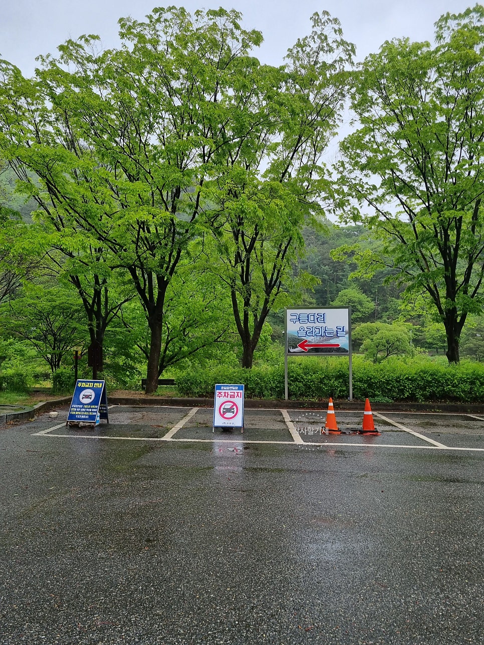 뒷골 사진 4