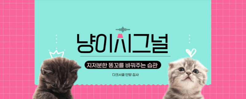 밥맛 떨어지는 고양이 똥꼬! 깨끗해지는 마법같은 꿀팁