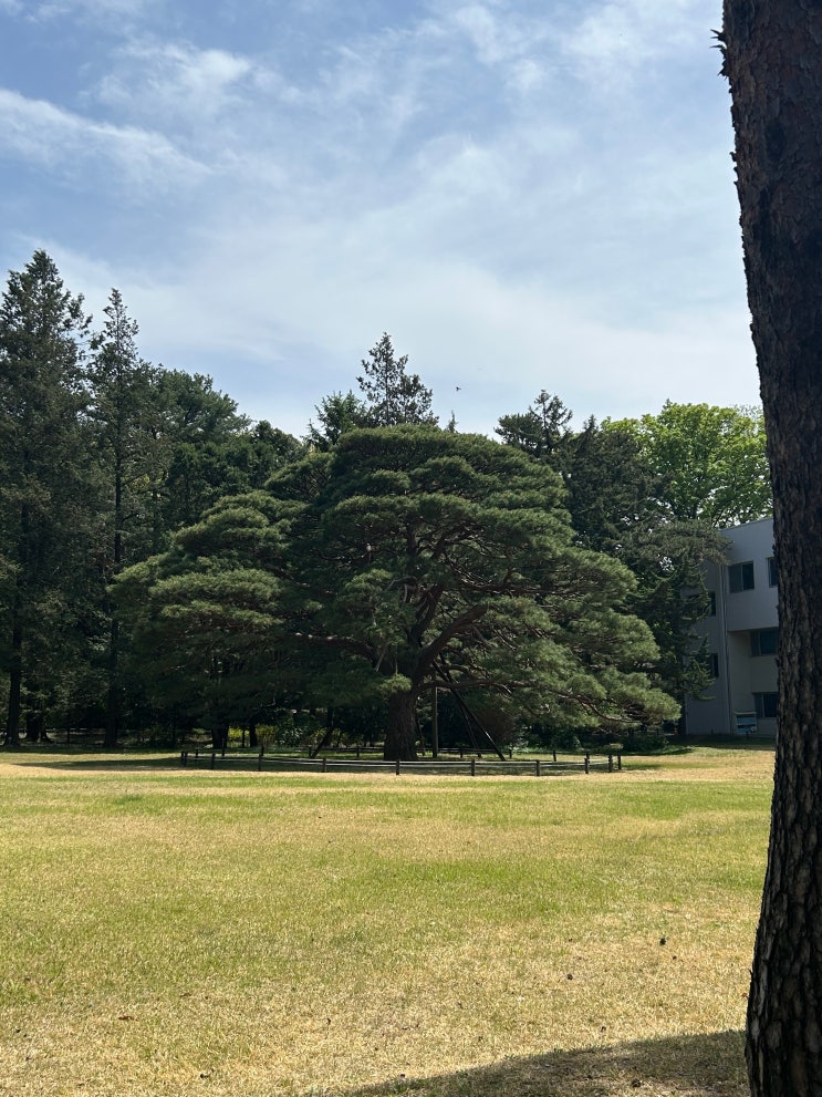  국립산림과학원에서 조성한 100대 숲, 산책하기 좋은 동대문구 산책길 <홍릉시험림(홍릉수목원)>