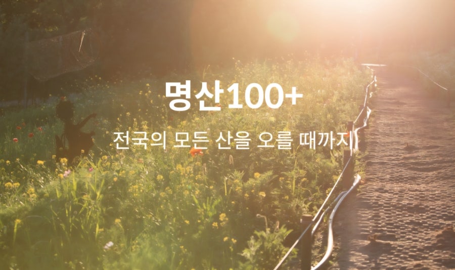 매봉산 사진 2