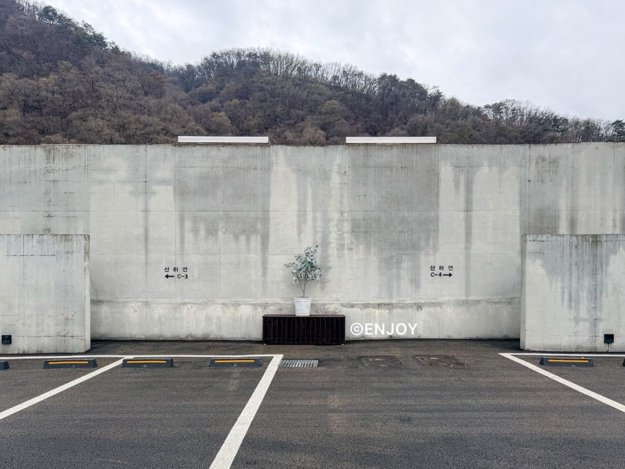 산하연 사진 5