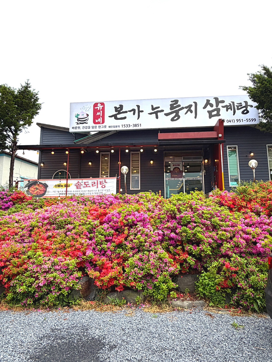 유씨네본가누룽지삼계탕 서천점 사진 2