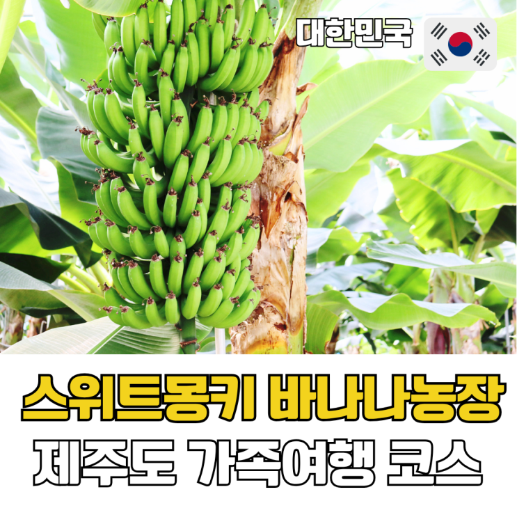  제주도 가족여행 추천 제주 서쪽 2박 3일 여행코스 스위트몽키 바나나농장