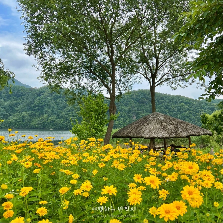 래티오커피 사진 2