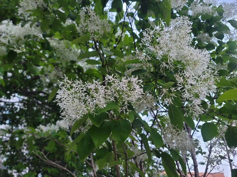 카페버닝 사진 3