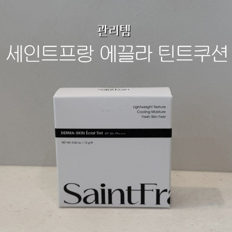 세인트 프랑 에끌라 틴트 쿠션팩트 사용 후기, 여름에도 화사한 물광팩트
