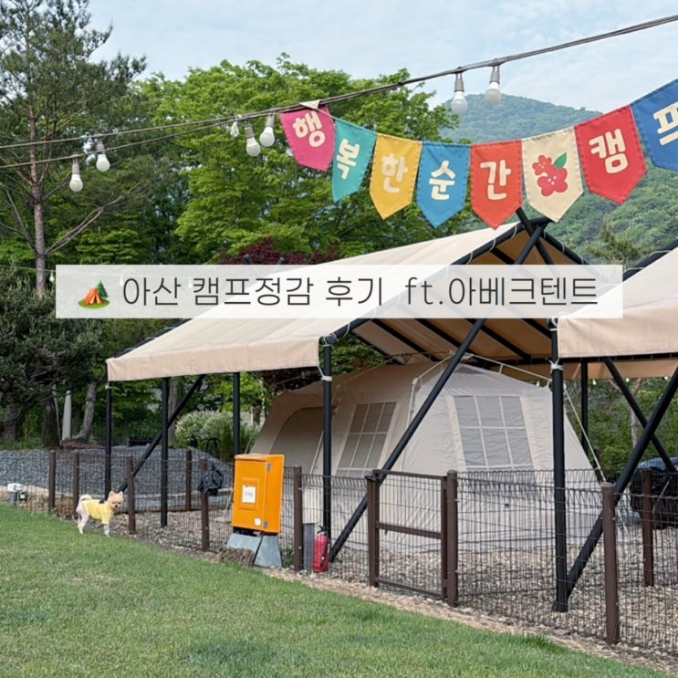  천안아산 애견캠핑장 캠프정감 대형견도 가능 ft. 아이두젠 아베크