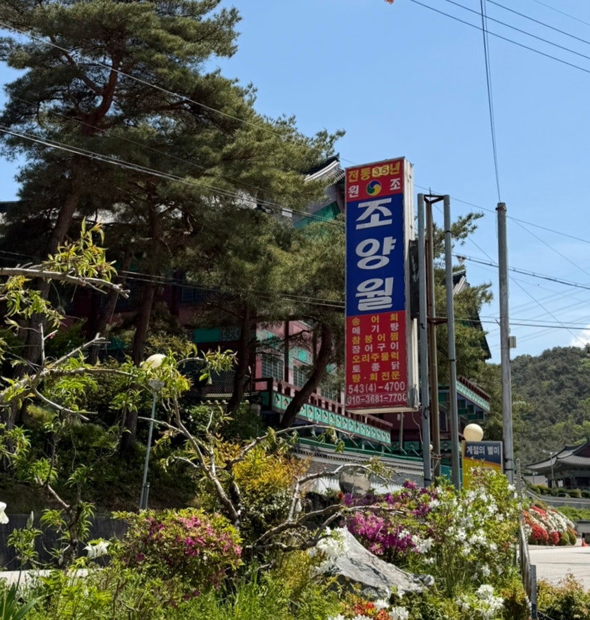 조양월 사진 1