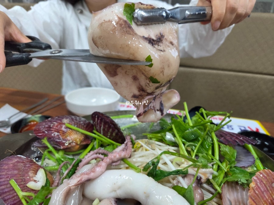 해물천국칼국수 사진 4