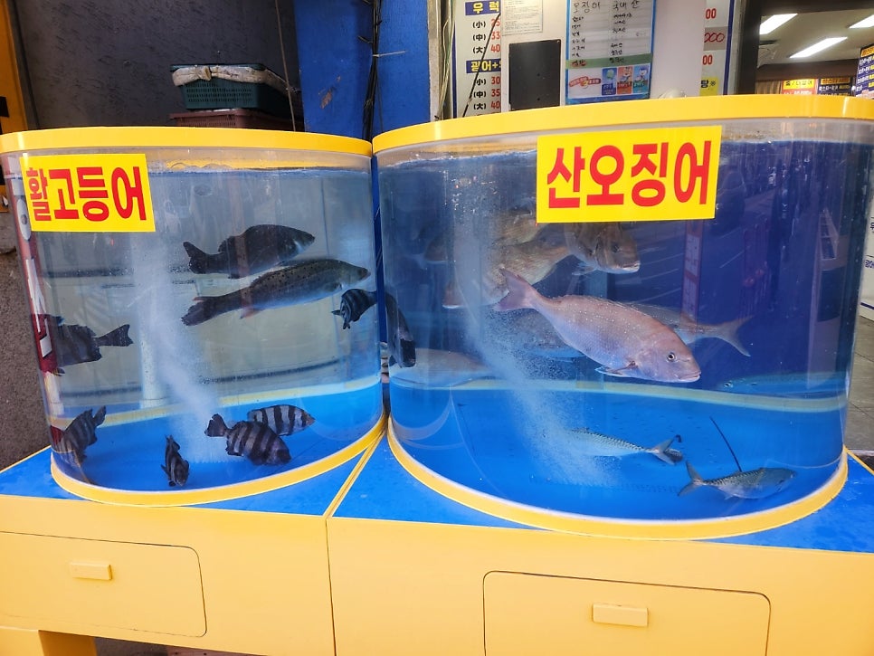 파도수산 탑동본점 사진 2