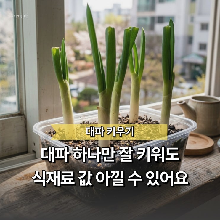  "대파 키우기만 해도 식재료값 꽤 아낍니다" 초보자도 쉬운 대파 심는 법