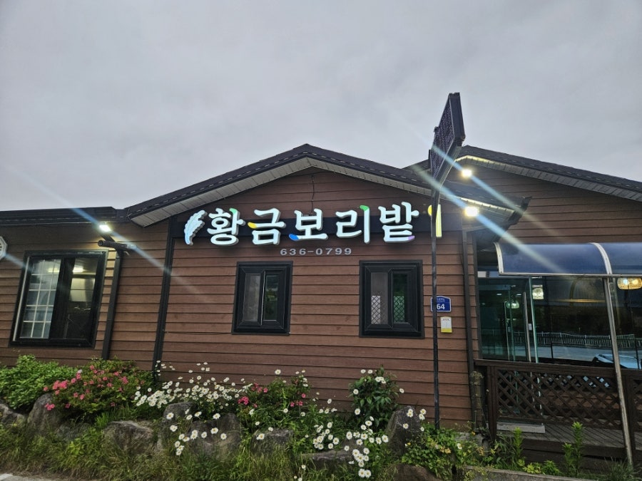 황금보리밭 사진 1