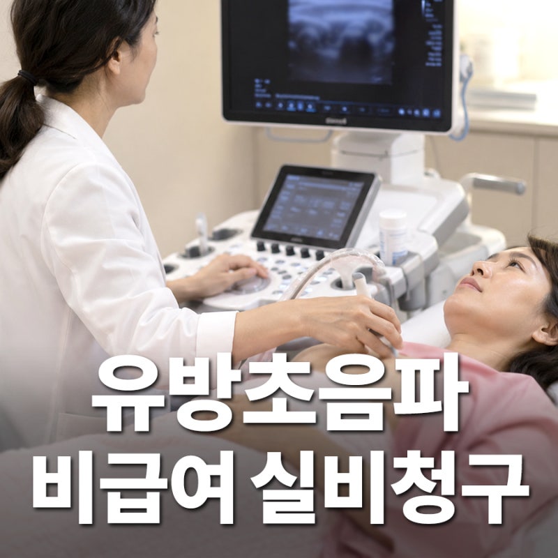 유방 초음파 비급여 비용, 실비 청구 전 의사에게 꼭 받아야 할 서류