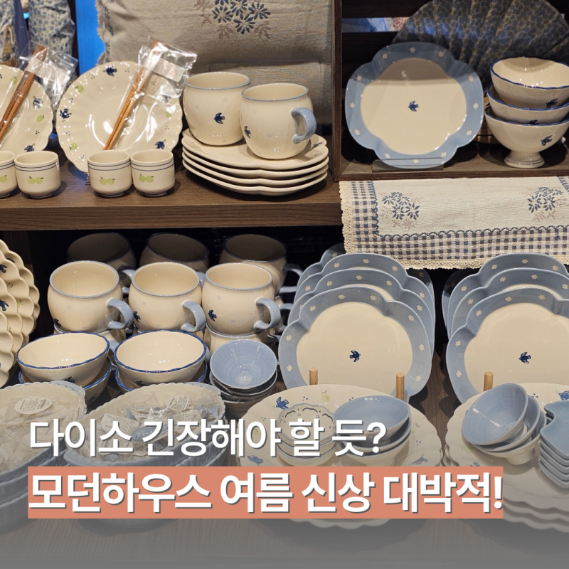 다이소 긴장해야 할 듯? 모던하우스 여름 신상 그릇부터 대박적