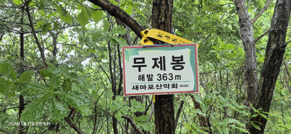 망골산 사진 5