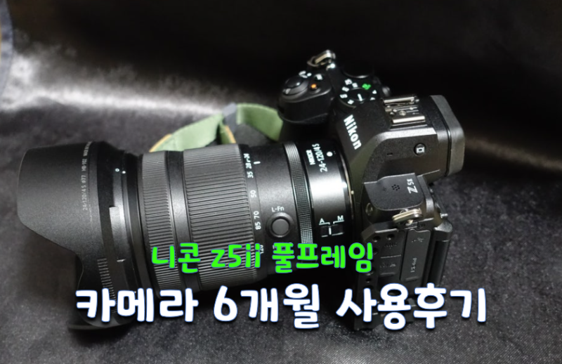 니콘 Z5 ii 6개월 사용후기 및 니콘렌즈 화각 추천