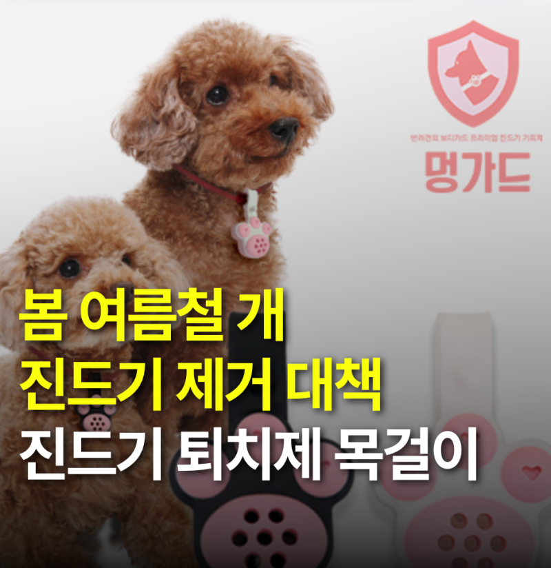 강아지 진드기 퇴치제 목걸이 추천 피부 자극 없는 펜던트형 멍가드 후기