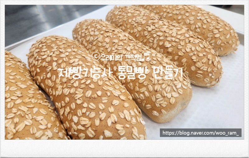 제빵기능사 통밀빵 만들기 / 통밀빵 레시피