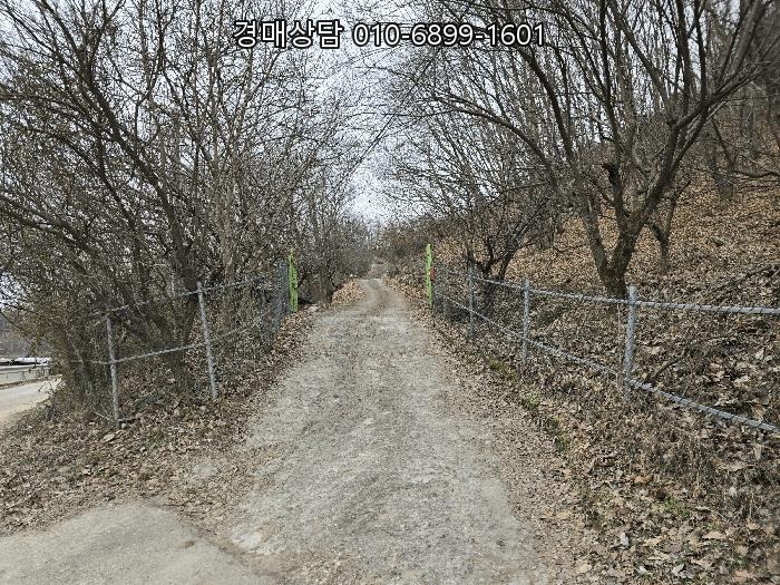  금산군 공장 경매 충청남도 금산군 제원면 수탱이길 242 대규모 토지와 공장동을 함께 살펴봐야 할 매각 물건 2020-102679 [4]