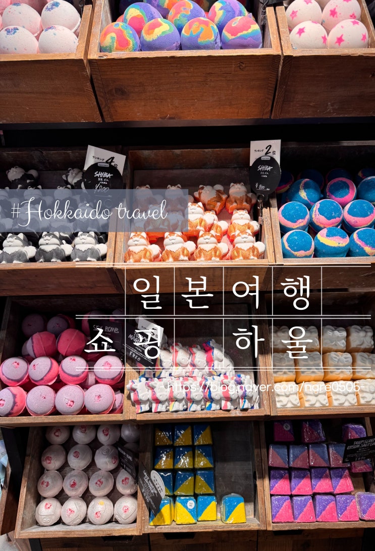  일본 쇼핑 하울 돈키호테 러쉬 안사면 손해
