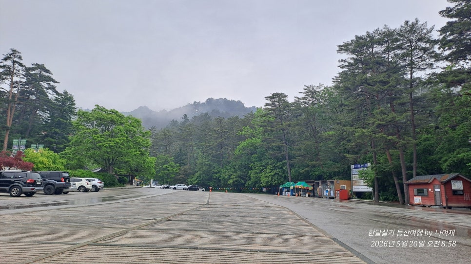 정골 사진 6