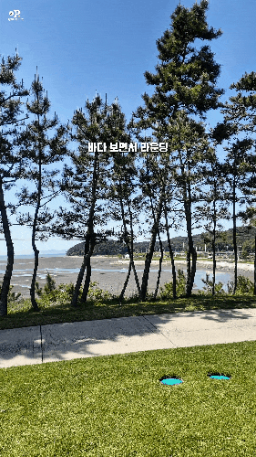  더헤븐CC 다녀왔는데 진짜 뷰 미쳤음 (대부도 오션뷰 골프장 솔직 후기)