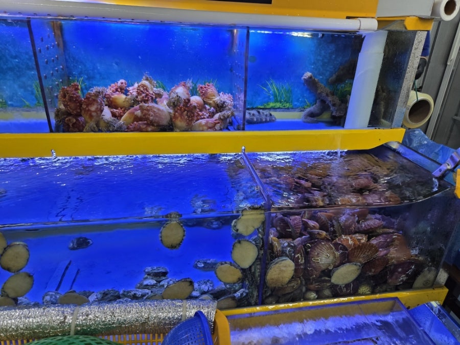 공룡수산 사진 6