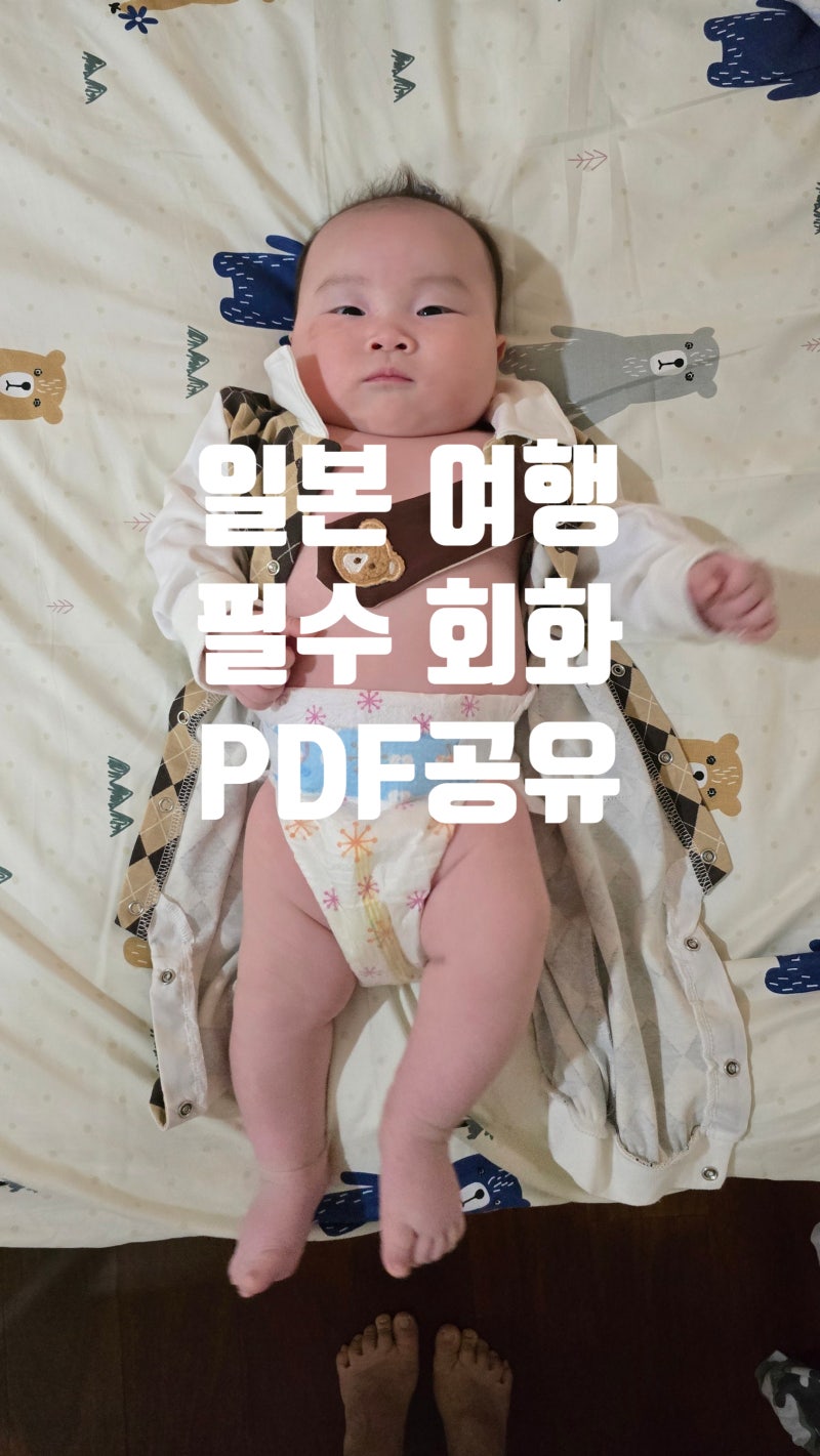 [PDF 무료나눔] 일본 여행 필수 회화 총정리: 공항, 호텔, 식당, 편의점 상황별 생존 일본어 (독....
