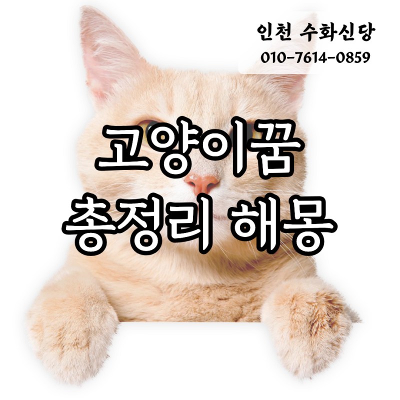 고양이꿈 총정리, 수화신당이 풀어드리는 영적인비밀 9가지