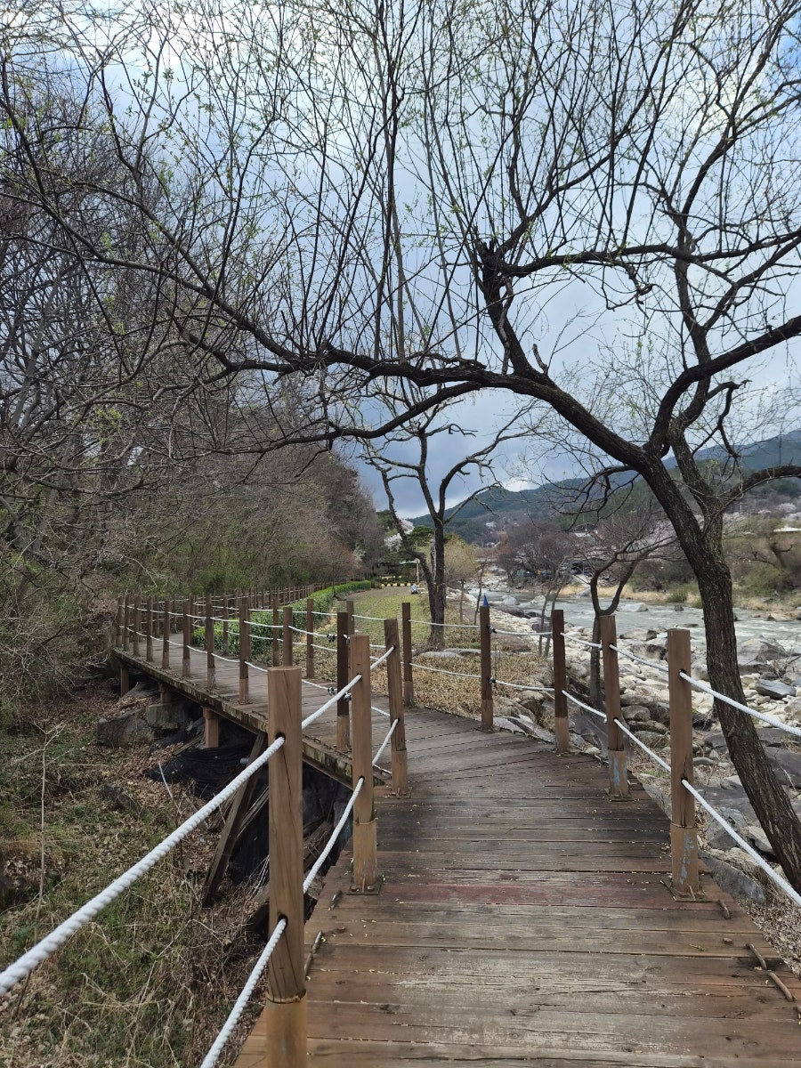 Jinansundubujip photo 4