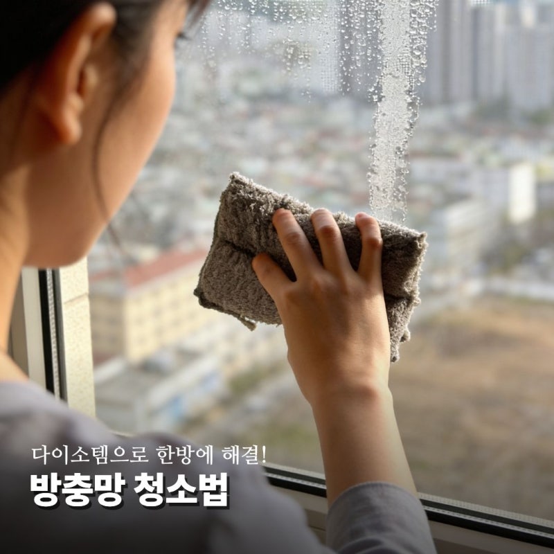 다이소 방충망 청소솔 먼지 날림 없는 스펀지로 한방에 청소하는법