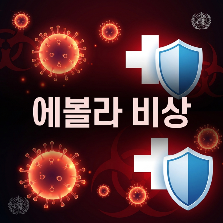  에볼라바이러스 다시 비상, 분디부교 변종 확산 속 증상·감염경로·예방수칙