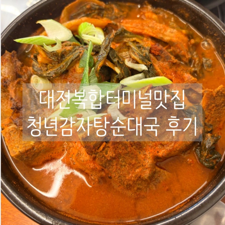  대전복합터미널맛집 청년감자탕순대국 대전가양복합터미널점 후기