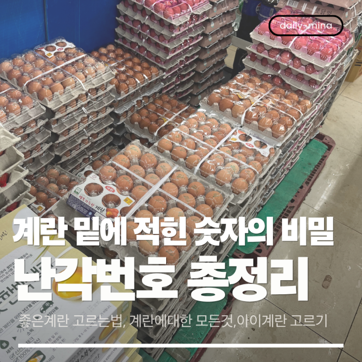  계란 밑에 적힌 숫자 "이것" 확인하셨나요? 아이 먹이기 좋은 계란 고르는 법 (난각번호 총정리)