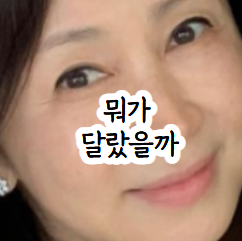 홈쇼핑 완판 60세 전인화 파데프리 비오진 톤업 선크림 장단점 비교