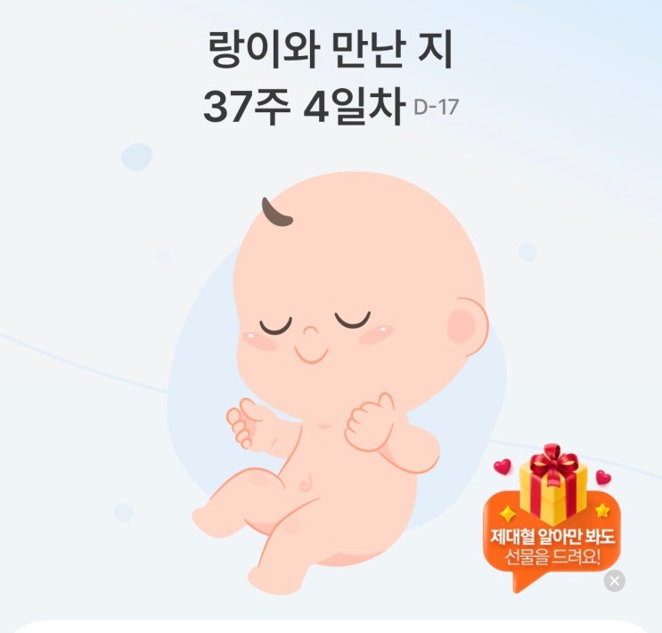  임신 37주 병원방문 일기ㅣ제왕vs자분