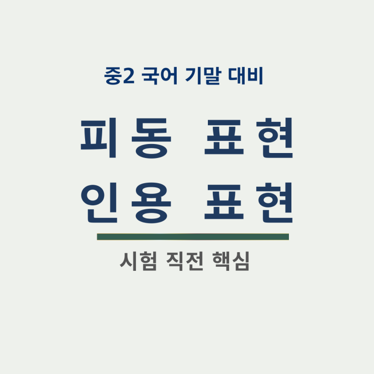  중2 국어 기말고사 피동 표현 인용 표현 총정리 천재교과서 노미숙