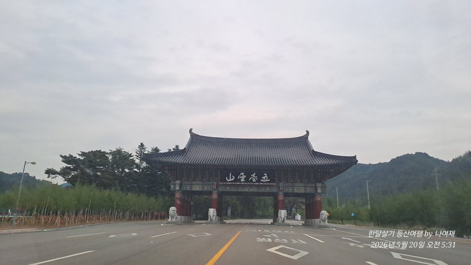 정골 사진 4